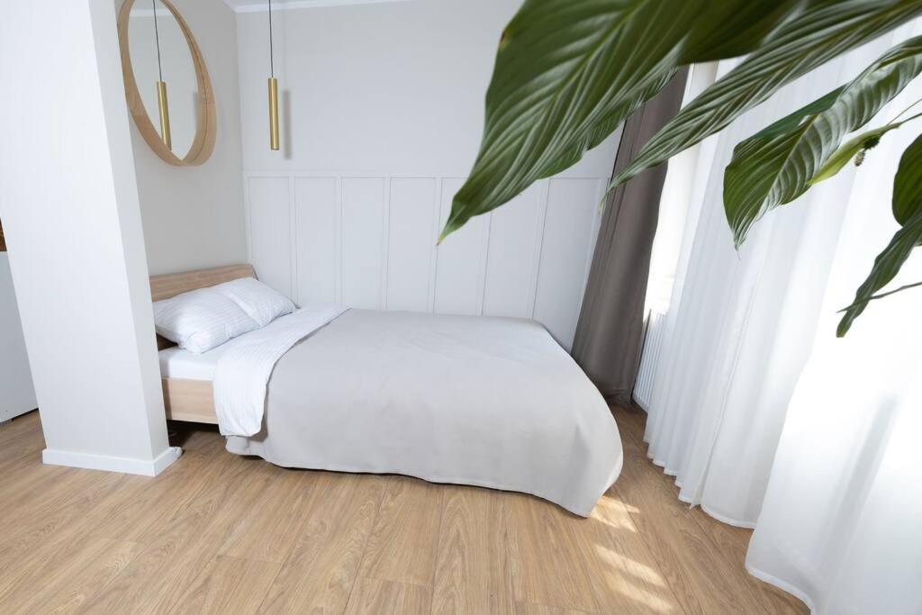Design & Relax #Altstadt #Sauna Wittenberg Екстер'єр фото